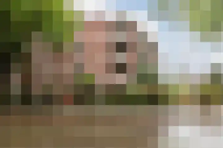Sumatraplein 80 Nijmegen thumbnail 29