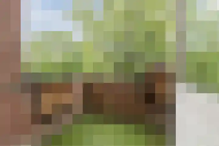 Sumatraplein 80 Nijmegen thumbnail 33