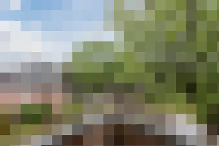 Sumatraplein 80 Nijmegen thumbnail 34
