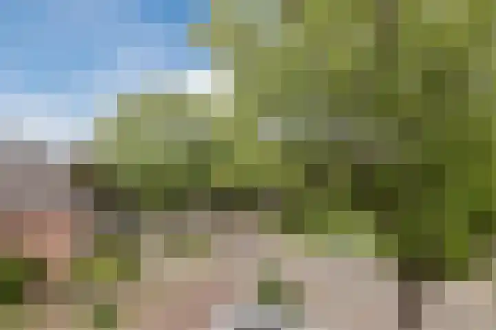 Sumatraplein 80 Nijmegen thumbnail 35