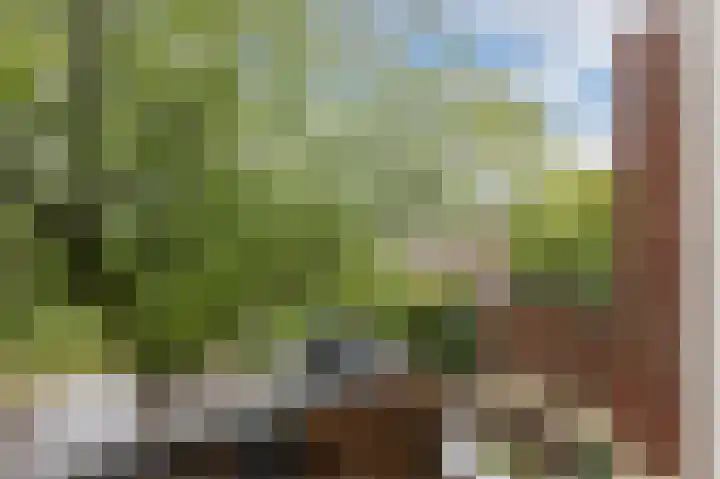 Sumatraplein 80 Nijmegen thumbnail 36