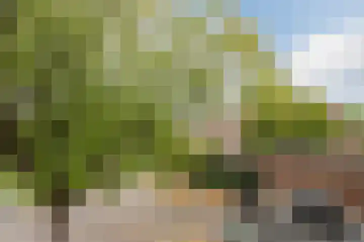 Sumatraplein 80 Nijmegen thumbnail 37