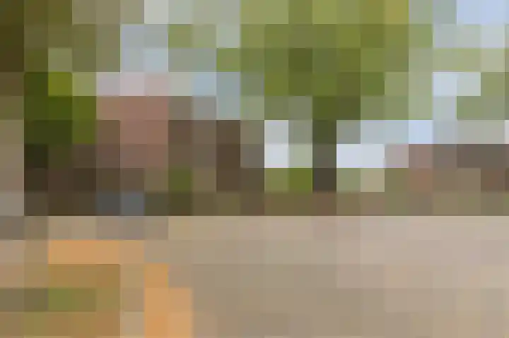 Sumatraplein 80 Nijmegen thumbnail 39
