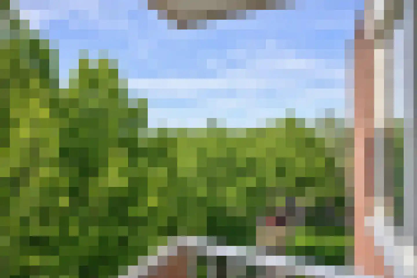Sumatraplein 82 Nijmegen thumbnail 25