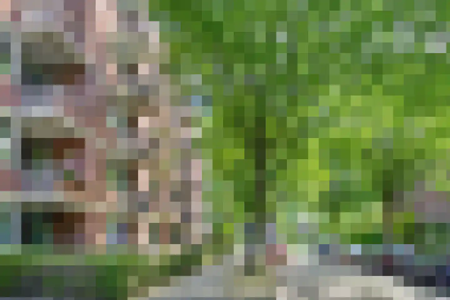 Sumatraplein 82 Nijmegen thumbnail 6