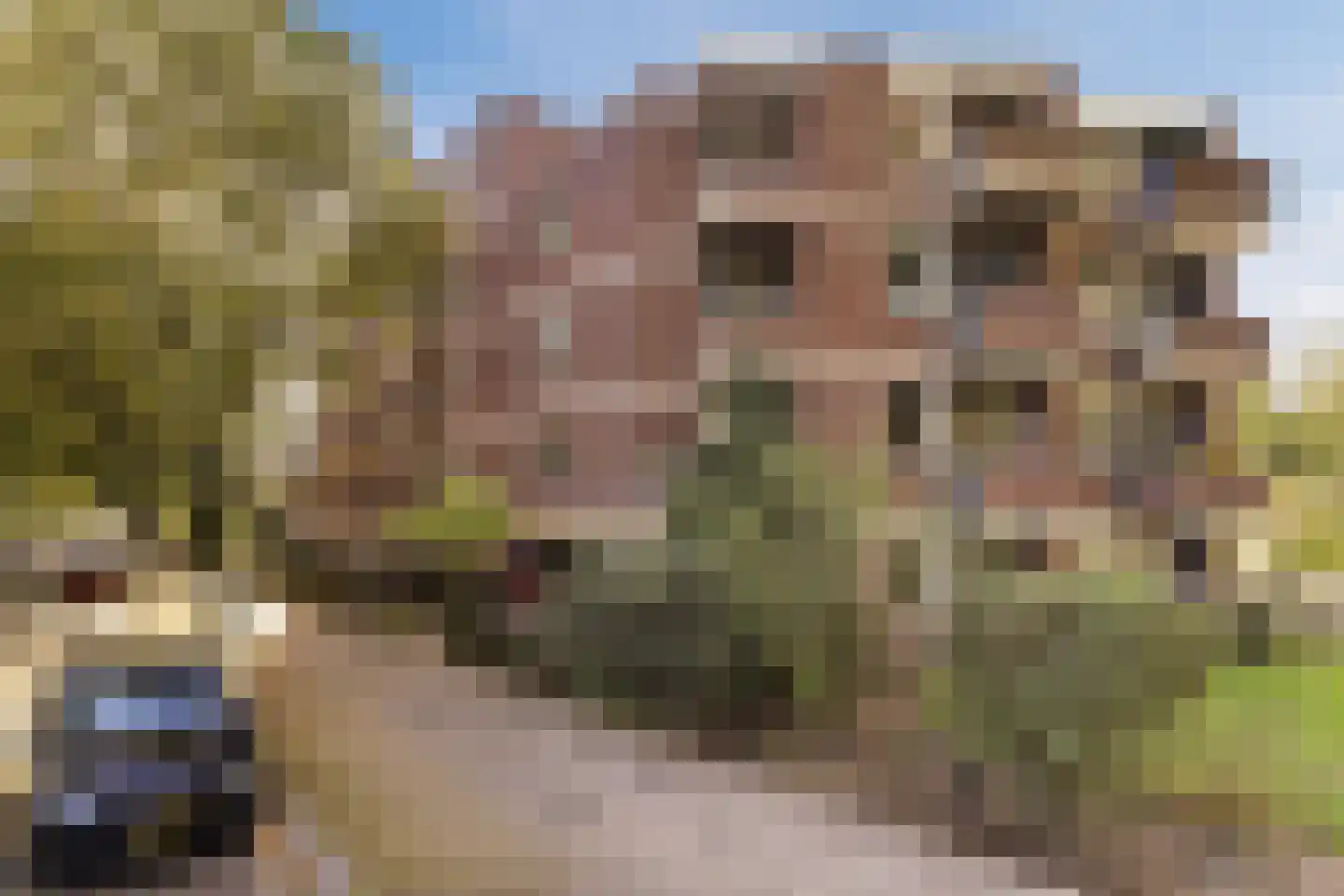 Sumatraplein 86 in Nijmegen