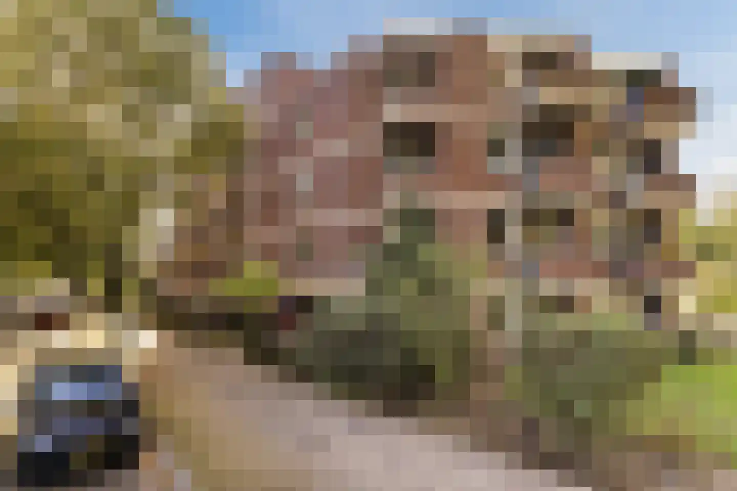 Sumatraplein 86 in Nijmegen