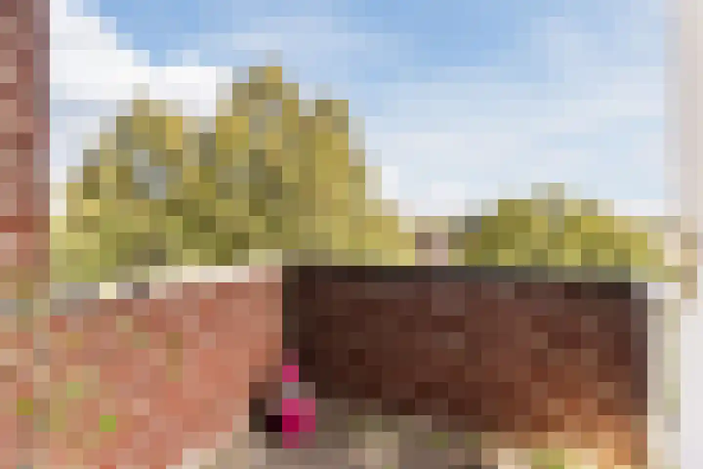 Sumatraplein 86 Nijmegen thumbnail 11