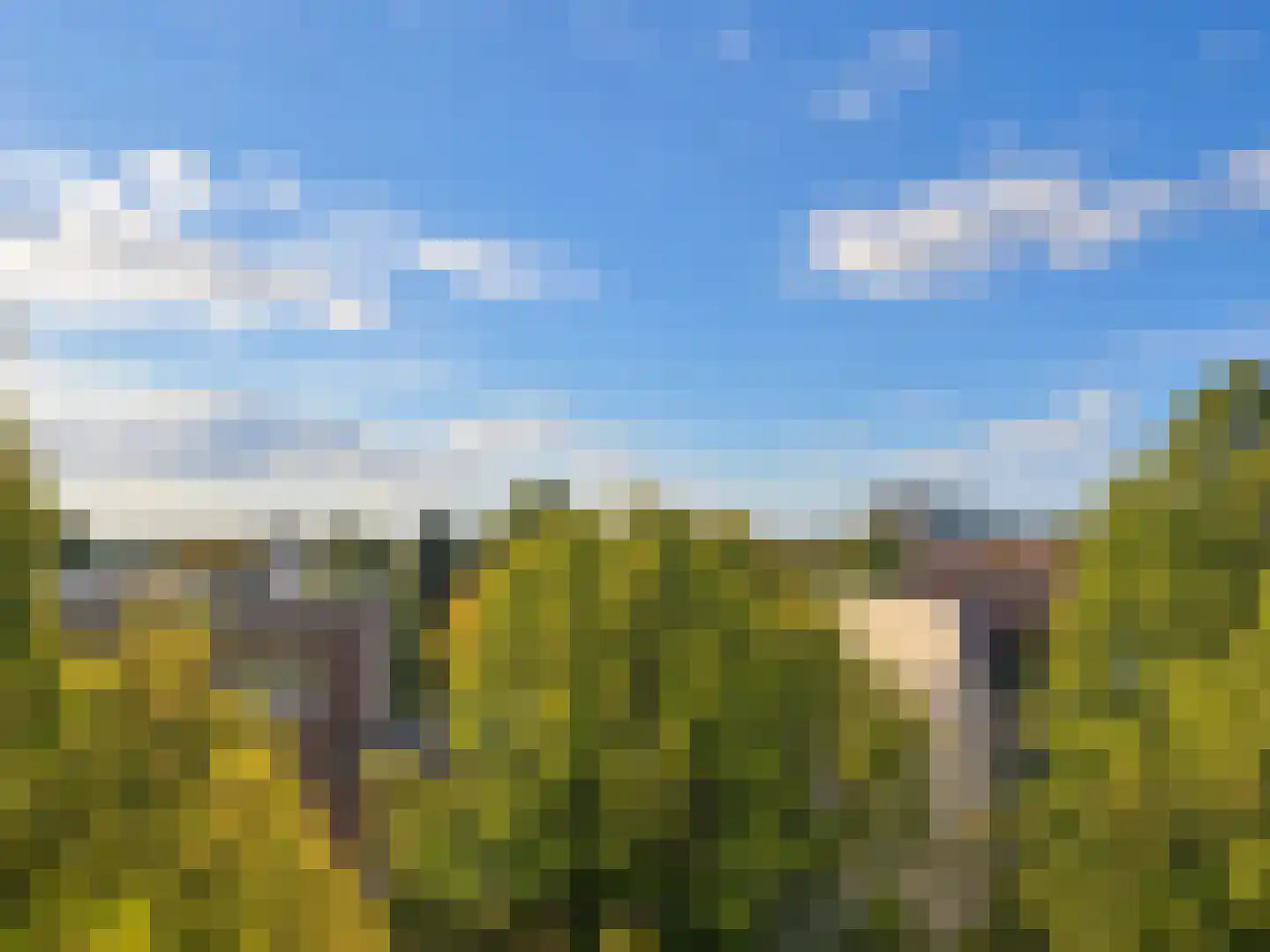 Sumatraplein 86 Nijmegen thumbnail 12