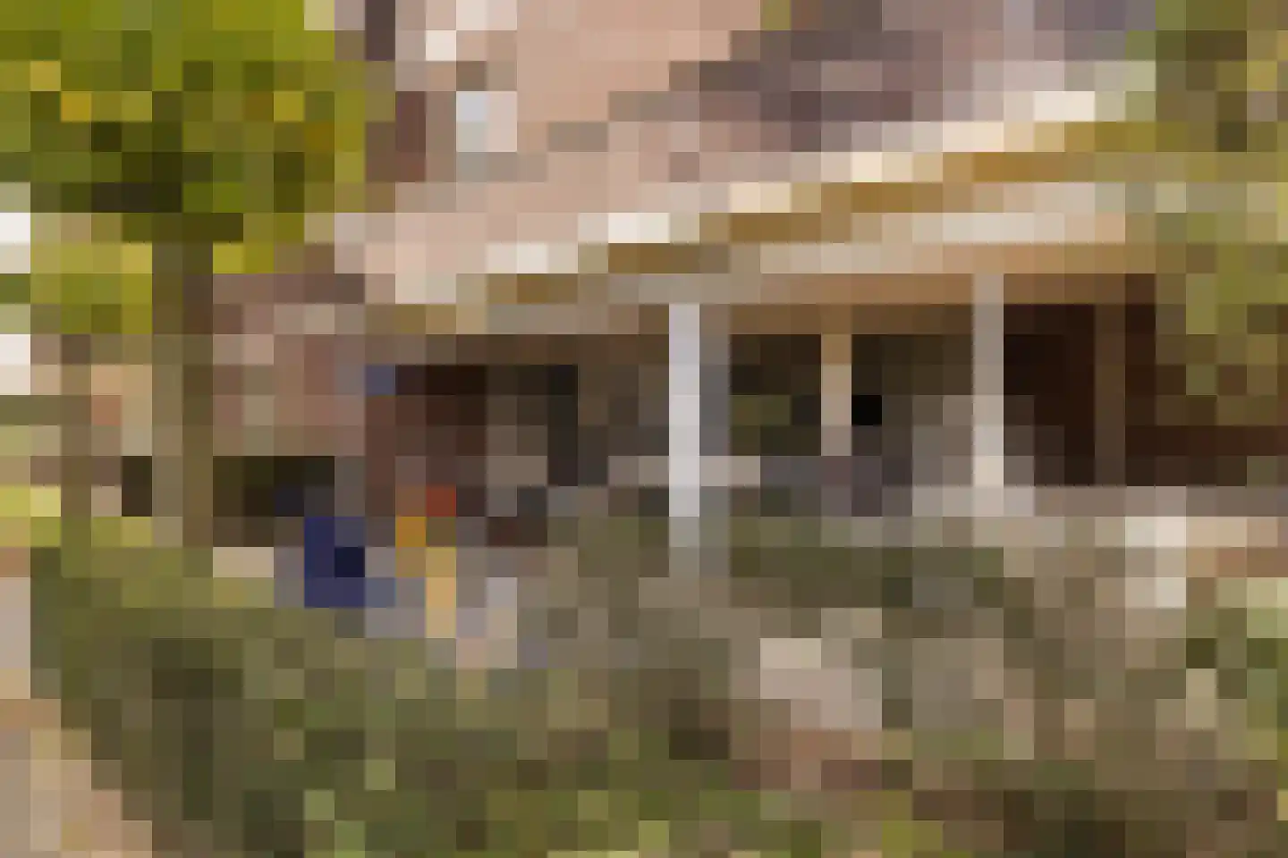 Sumatraplein 86 Nijmegen thumbnail 27