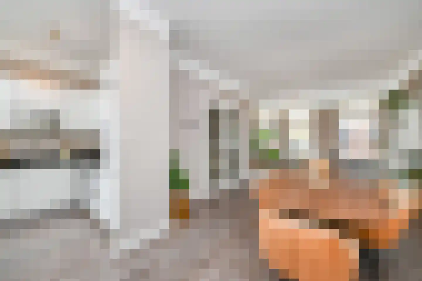 Sumatrastraat 10 Den Haag thumbnail 12