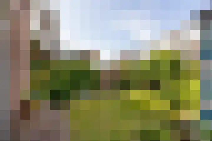 Sumatrastraat 108 Leiden thumbnail 23