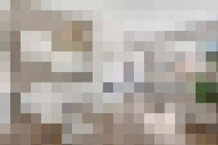 Sumatrastraat 11 Den Haag