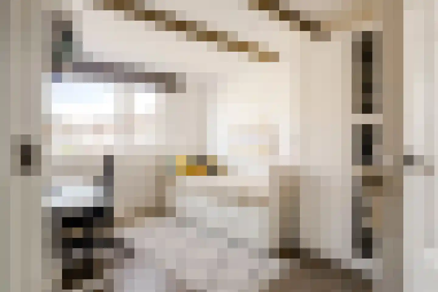 Sumatrastraat 11 Heemstede thumbnail 30