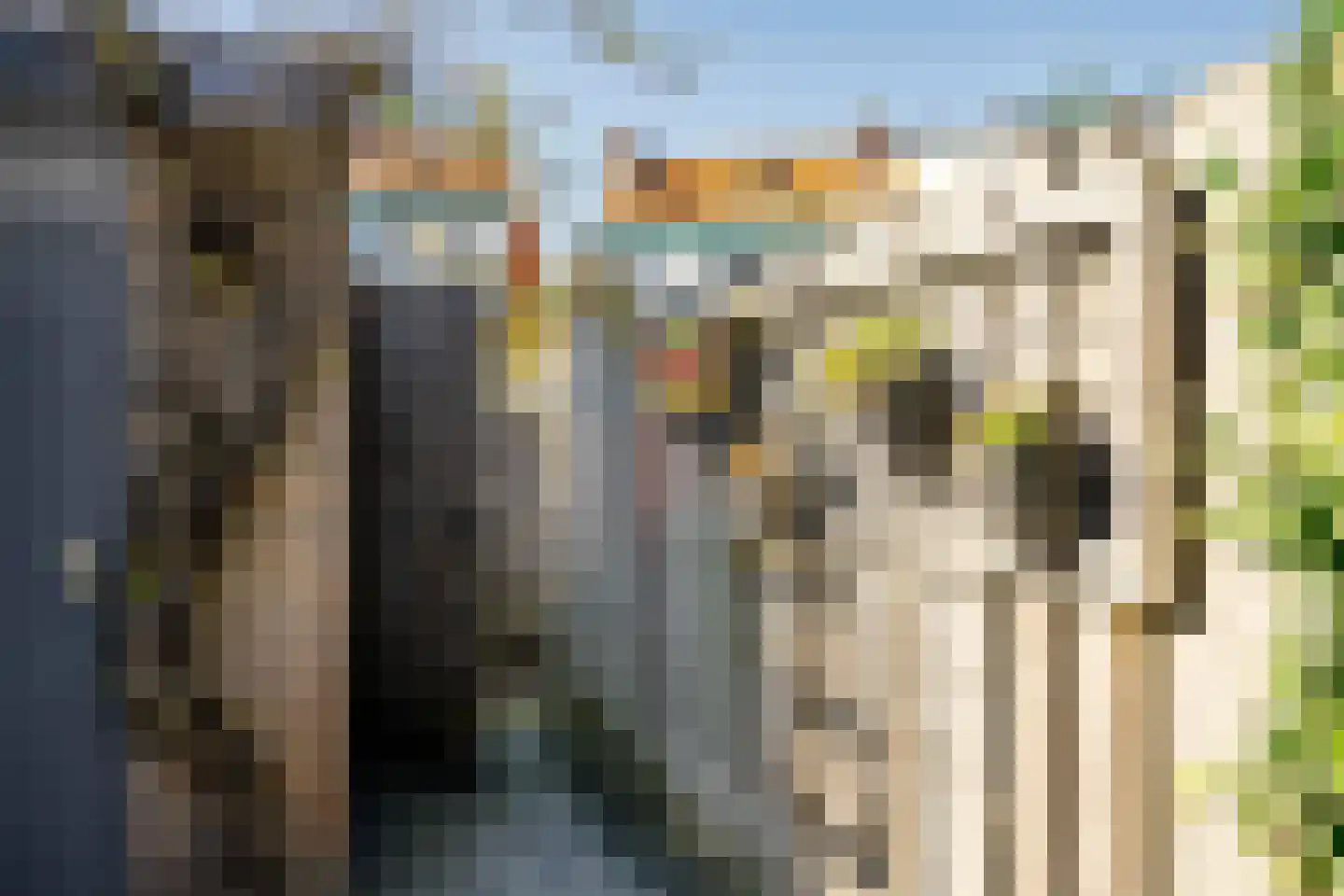Sumatrastraat 11 Heemstede thumbnail 38