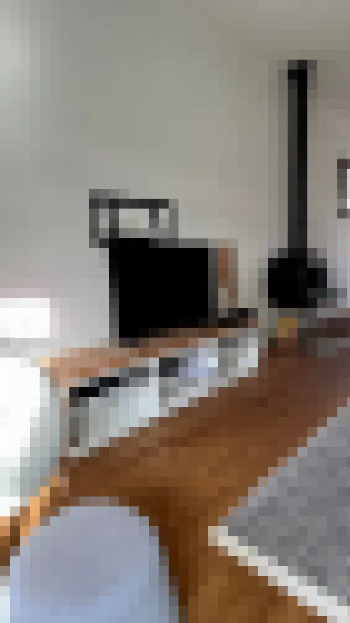 Sumatrastraat 11 's-Hertogenbosch thumbnail 4