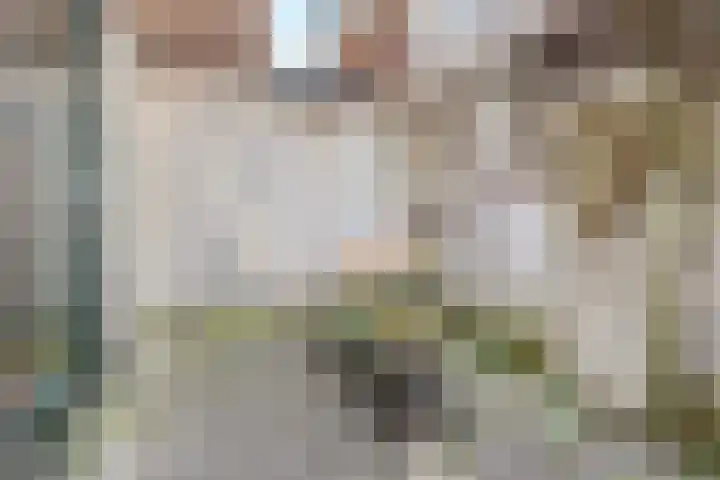 Sumatrastraat 11 Utrecht thumbnail 21