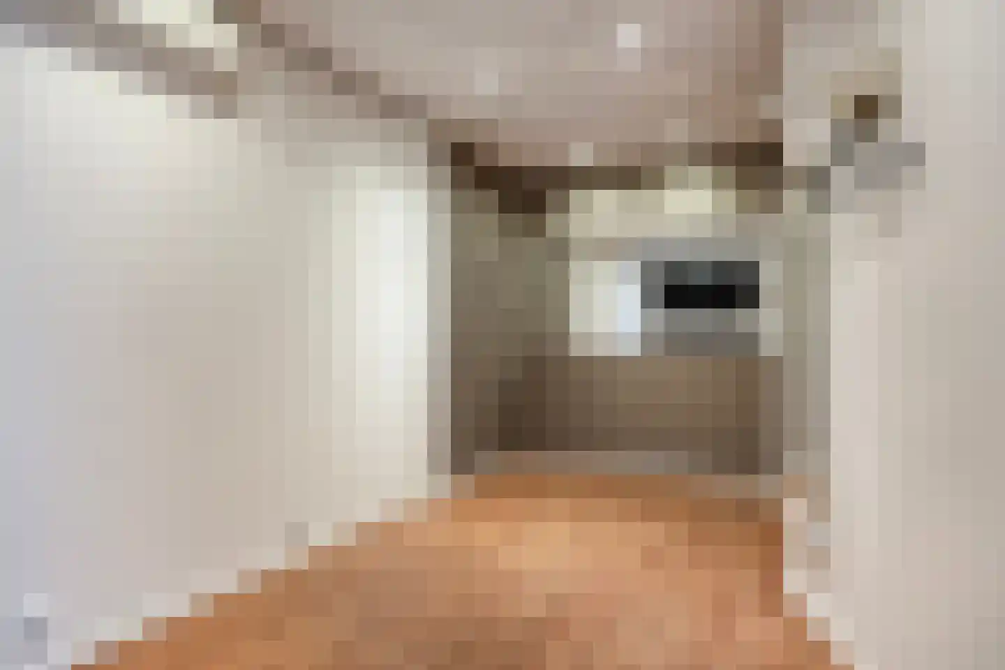 Sumatrastraat 12 A Heemstede thumbnail 36
