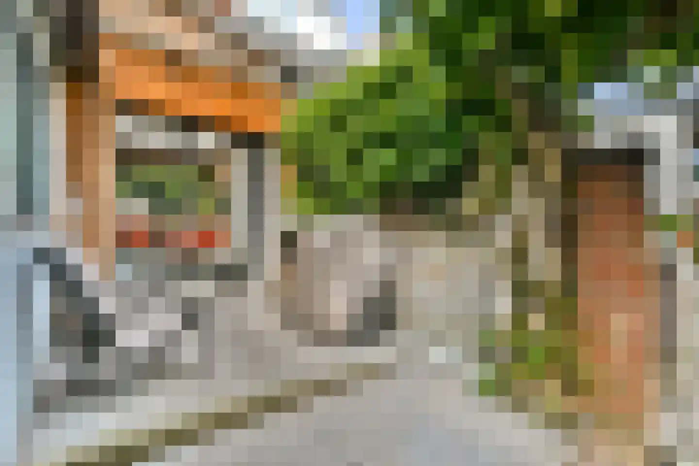 Sumatrastraat 12 Oegstgeest thumbnail 14