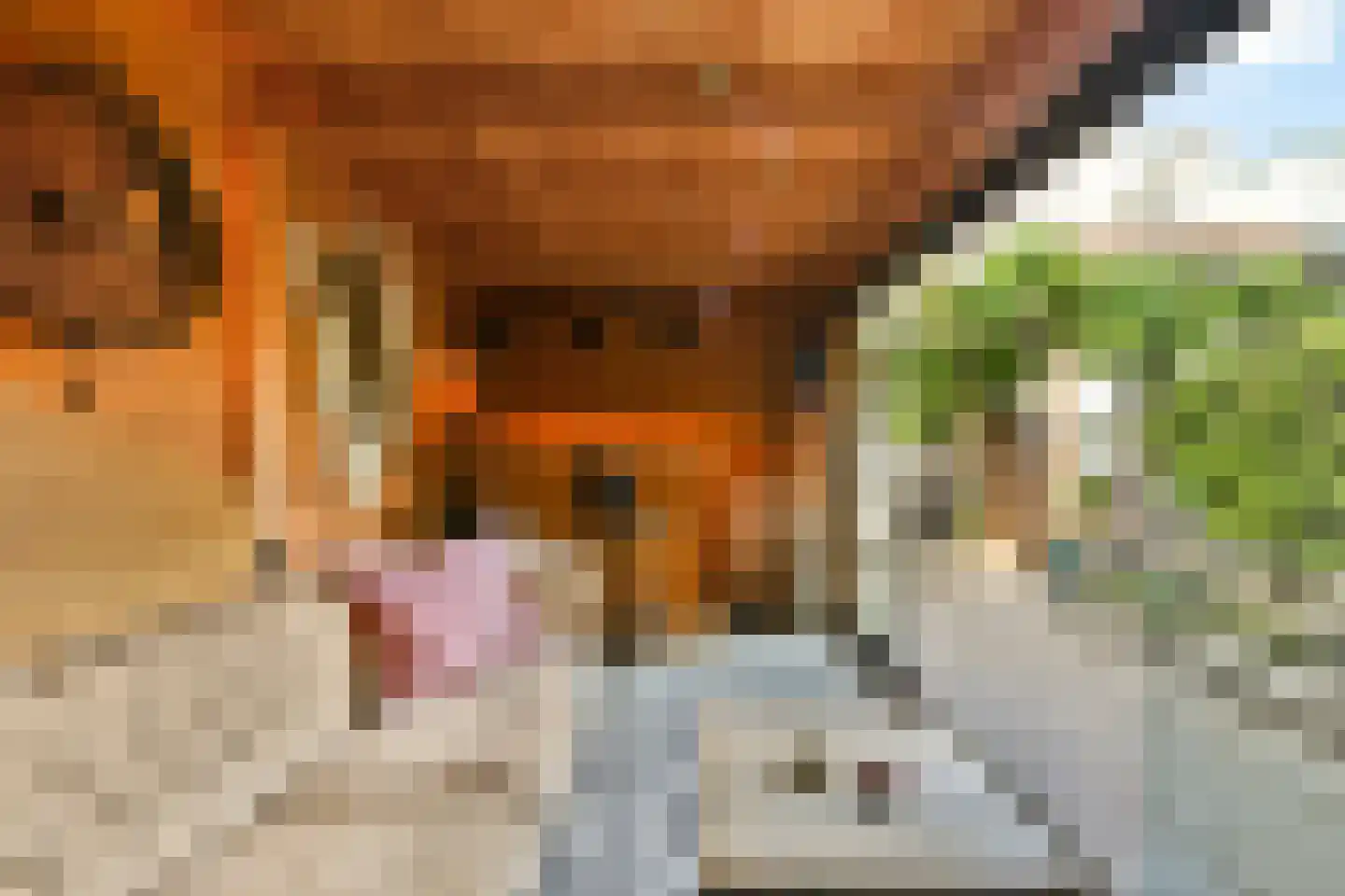 Sumatrastraat 12 Oegstgeest thumbnail 15