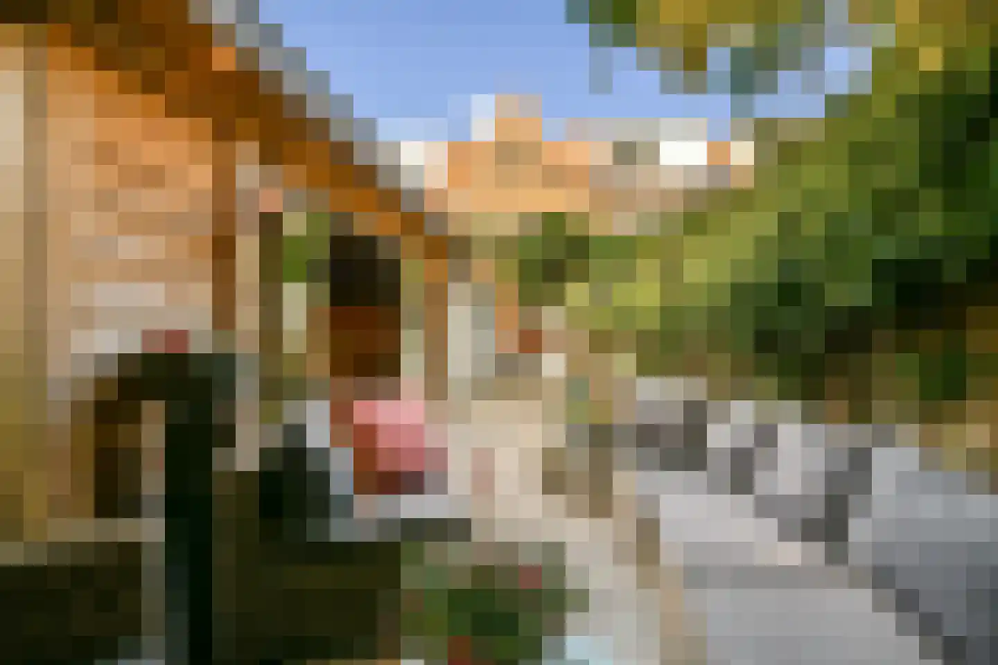 Sumatrastraat 12 Oegstgeest thumbnail 16