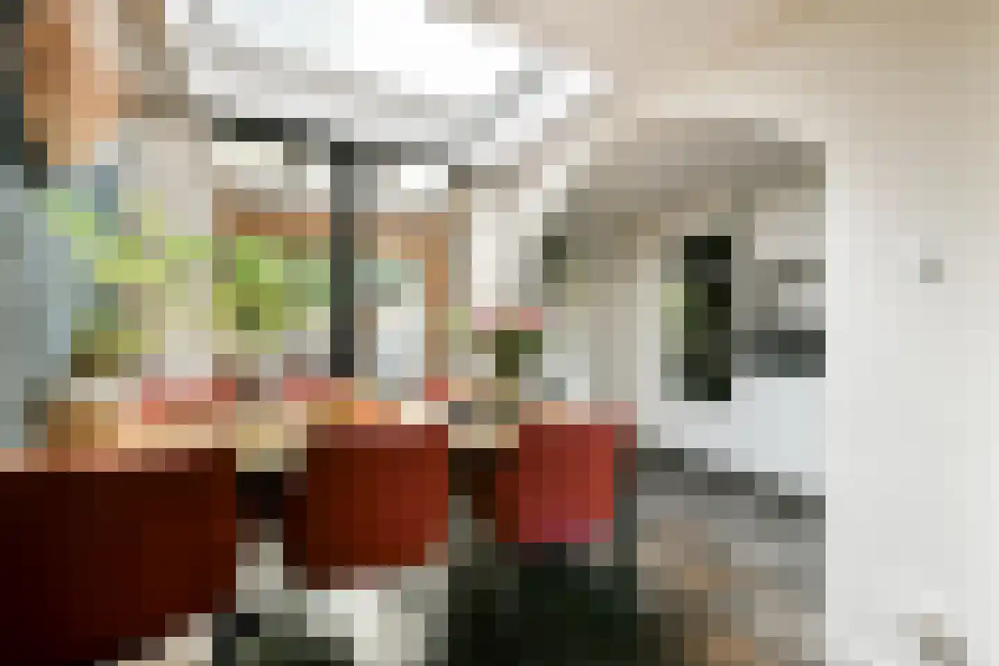 Sumatrastraat 12 Oegstgeest thumbnail 8