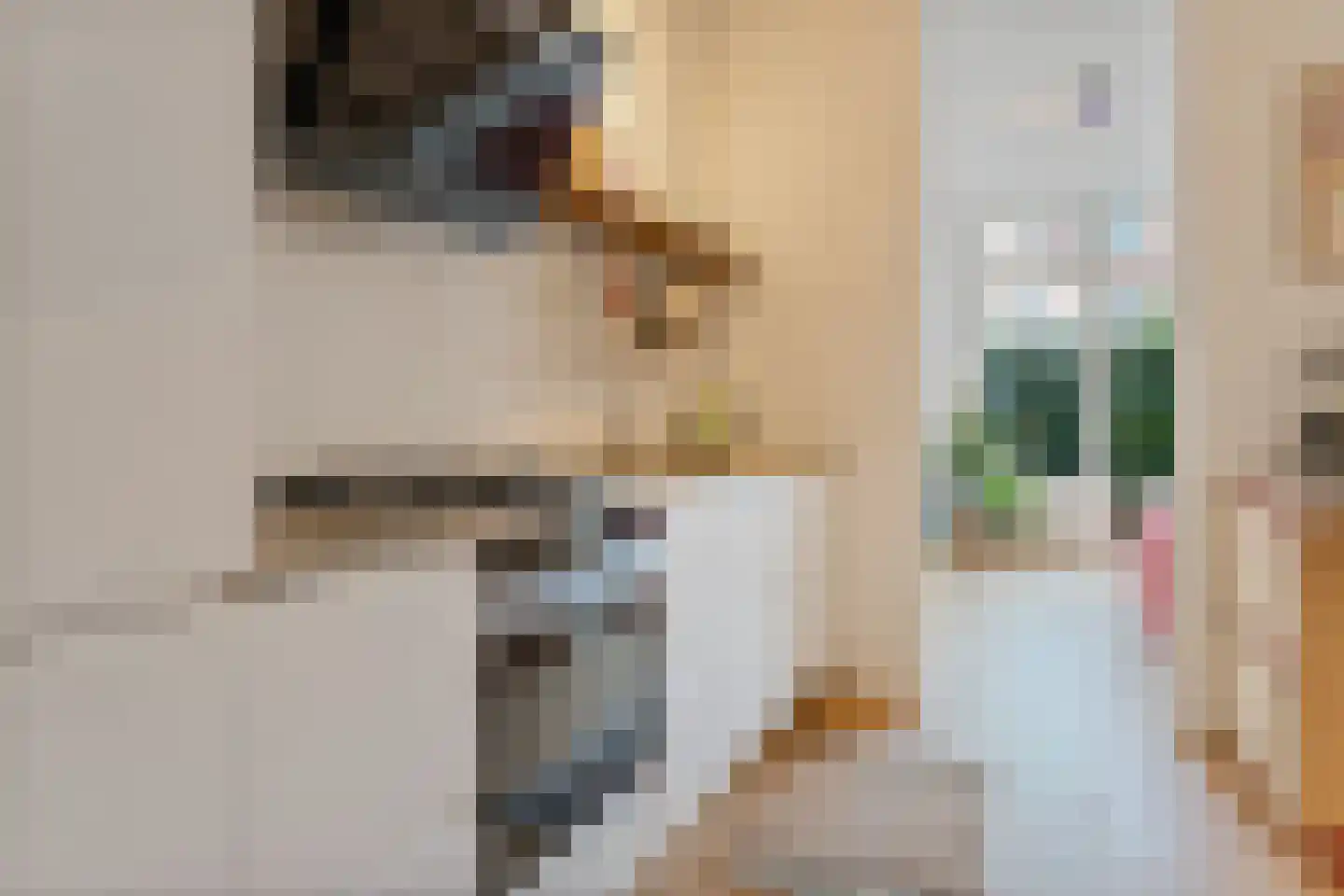 Sumatrastraat 12 Utrecht thumbnail 18