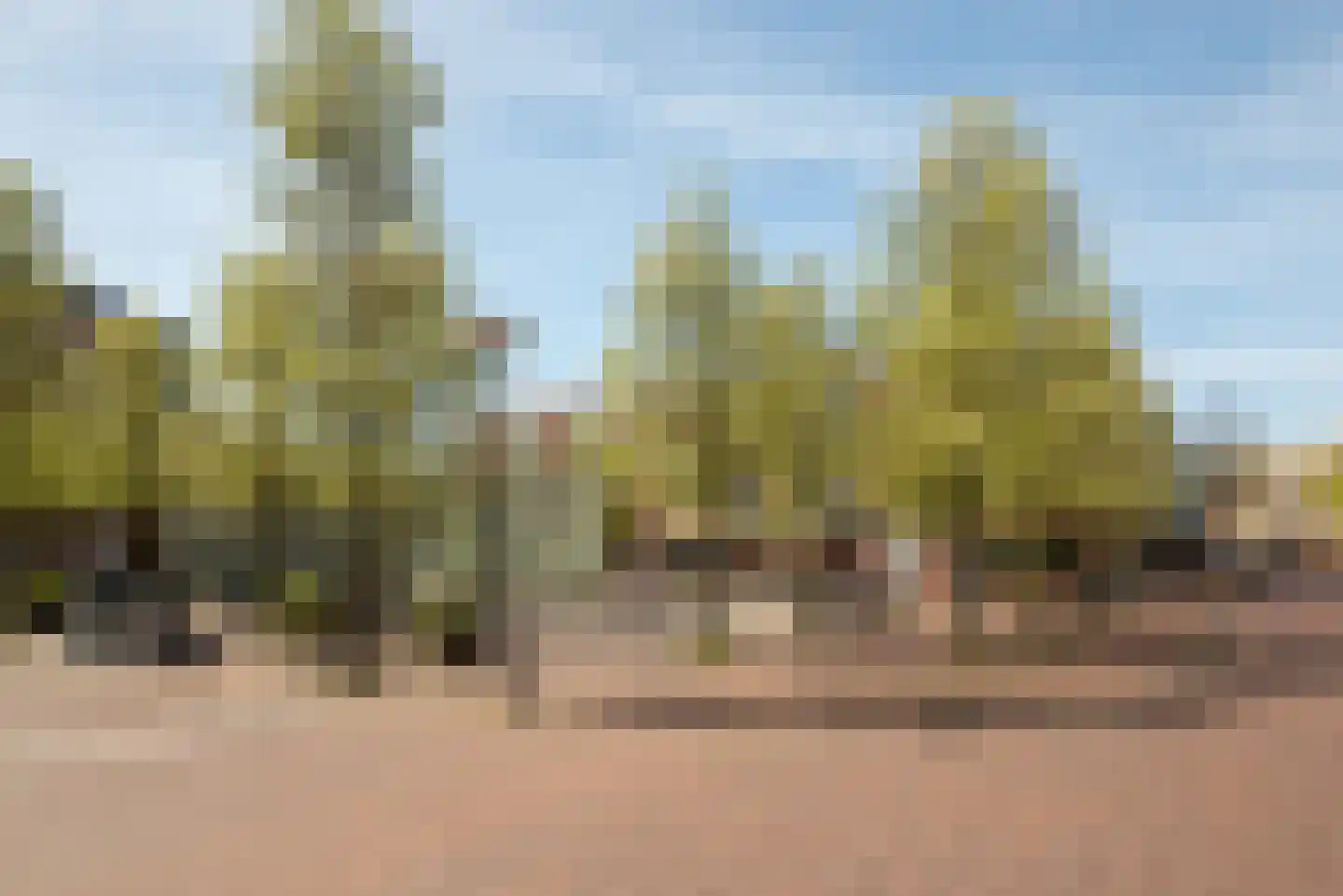 Sumatrastraat 127 C Amsterdam thumbnail 31
