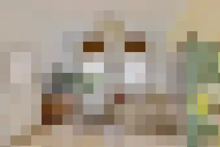 Sumatrastraat 13 BS Utrecht thumbnail 11