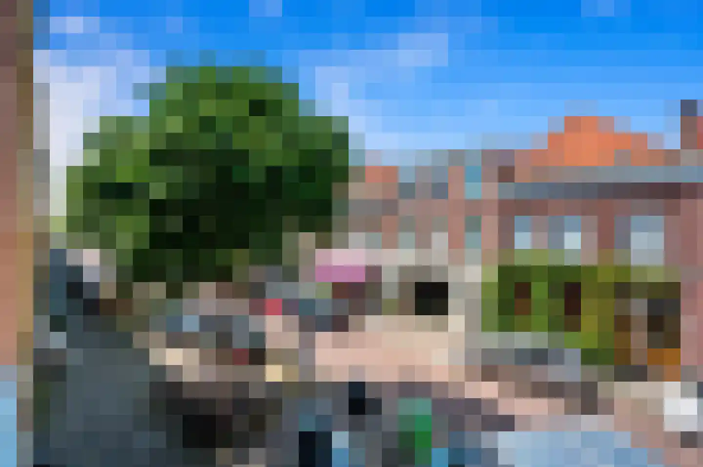 Sumatrastraat 157 Den Haag thumbnail 14