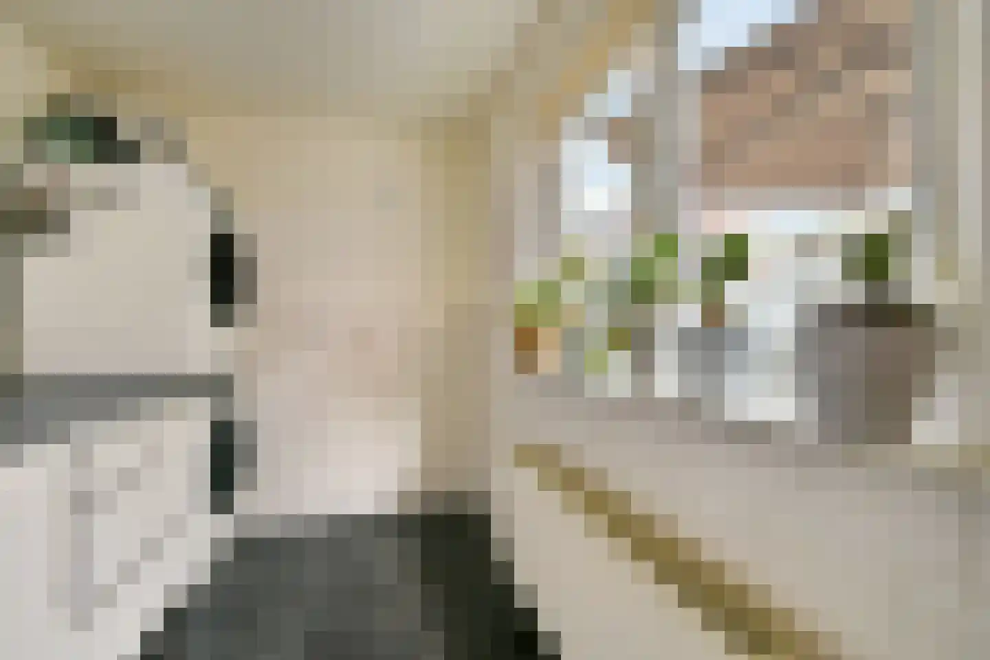Sumatrastraat 169 Leiden thumbnail 18
