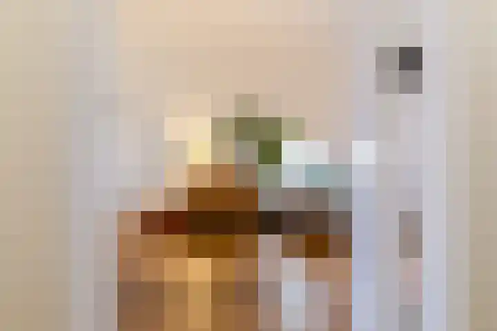 Sumatrastraat 18 BS Utrecht thumbnail 5