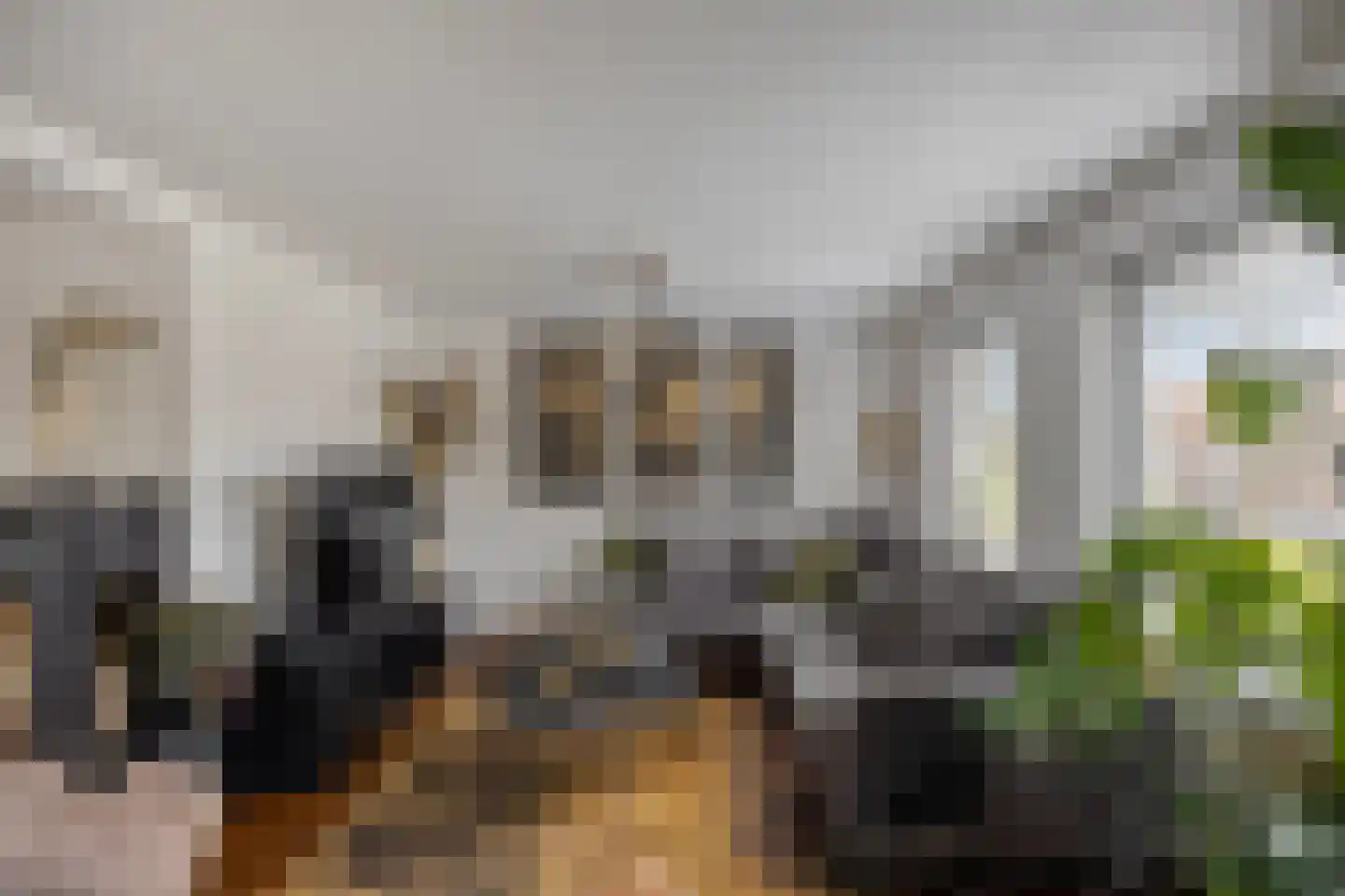 Sumatrastraat 189 Leiden thumbnail 30