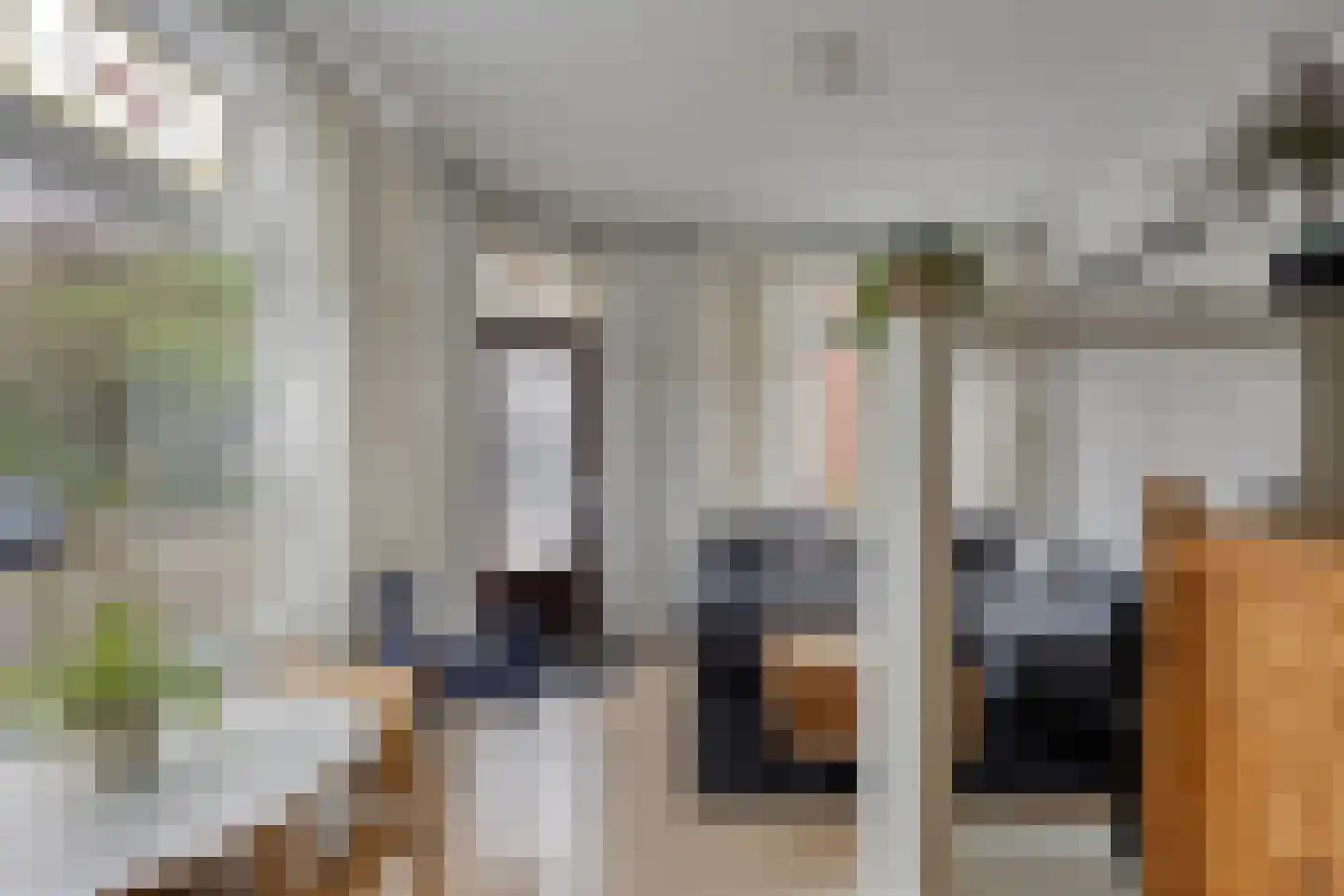 Sumatrastraat 189 Leiden thumbnail 8