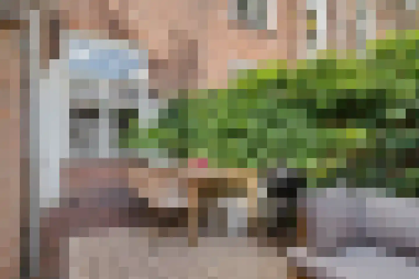 Sumatrastraat 20 Utrecht thumbnail 19