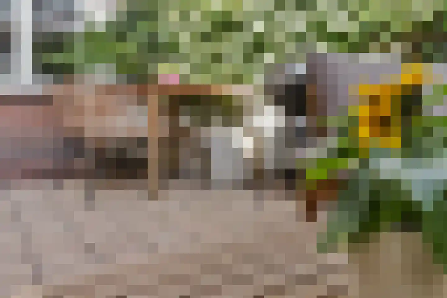 Sumatrastraat 20 Utrecht thumbnail 21