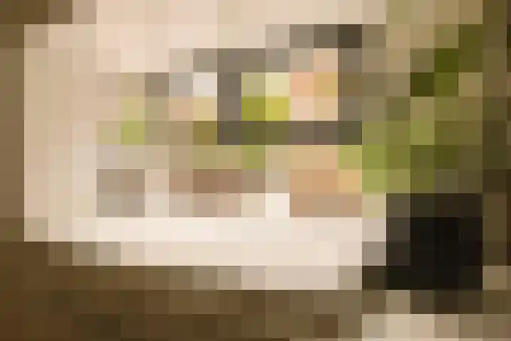 Sumatrastraat 203 A Amsterdam thumbnail 9