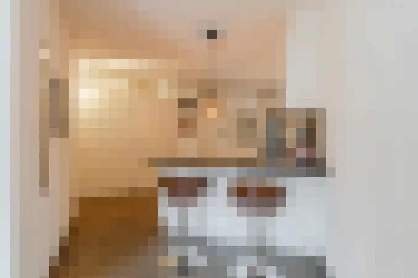 Sumatrastraat 205 R Amsterdam thumbnail 12
