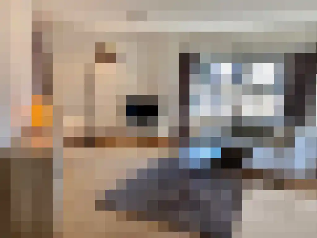 Sumatrastraat 207 Amsterdam thumbnail 6