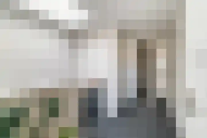 Sumatrastraat 207 Den Haag thumbnail 21