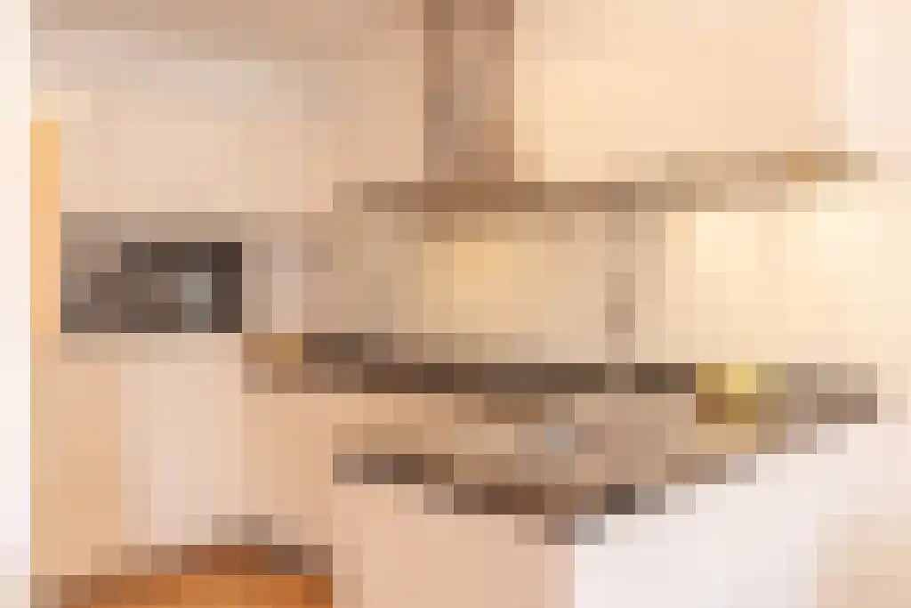 Sumatrastraat 207 F Amsterdam thumbnail 6