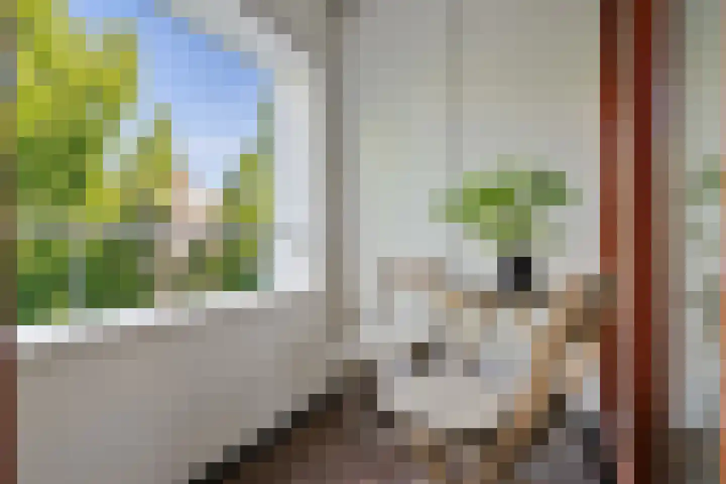Sumatrastraat 207 K Amsterdam thumbnail 19
