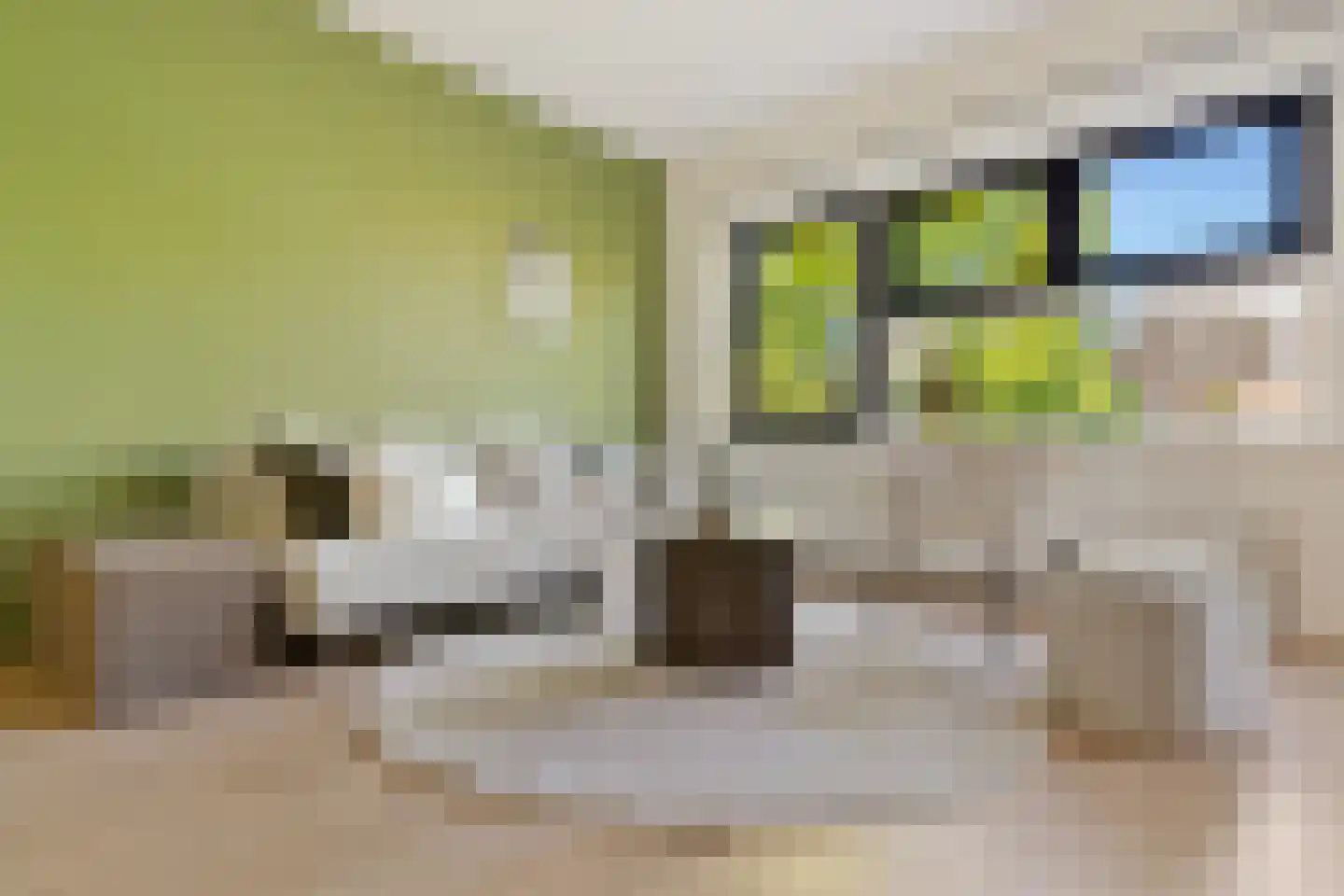 Sumatrastraat 207 K Amsterdam thumbnail 4