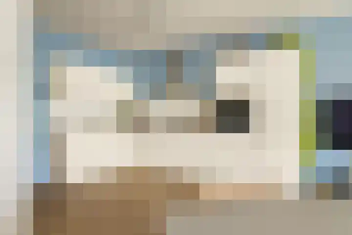 Sumatrastraat 207 N Amsterdam thumbnail 12