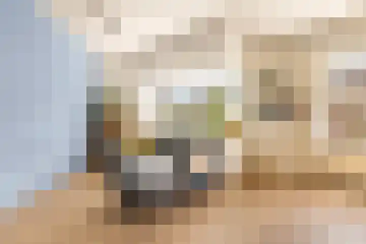 Sumatrastraat 207 N Amsterdam thumbnail 13