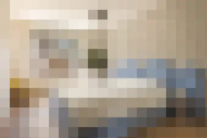 Sumatrastraat 207 N Amsterdam thumbnail 16