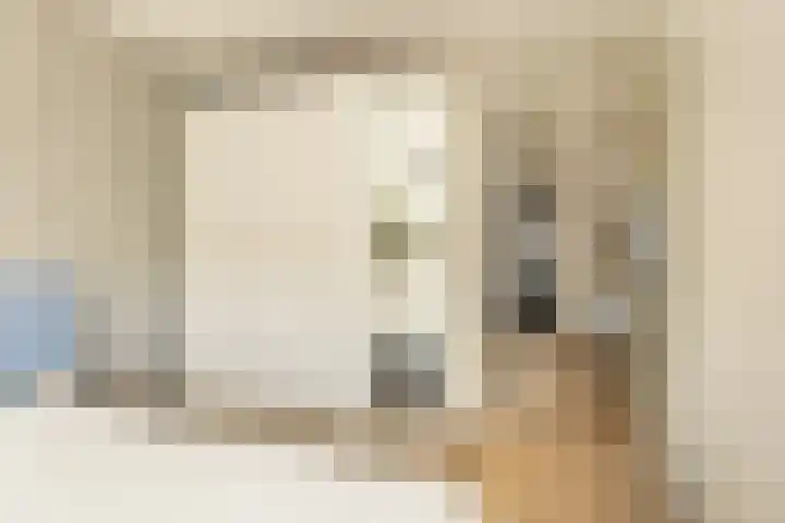 Sumatrastraat 207 N Amsterdam thumbnail 17