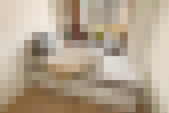 Sumatrastraat 207 N Amsterdam thumbnail 19