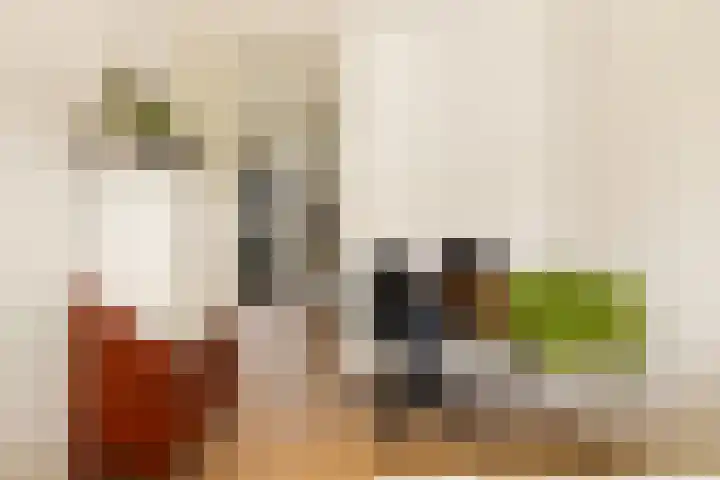 Sumatrastraat 207 N Amsterdam thumbnail 20