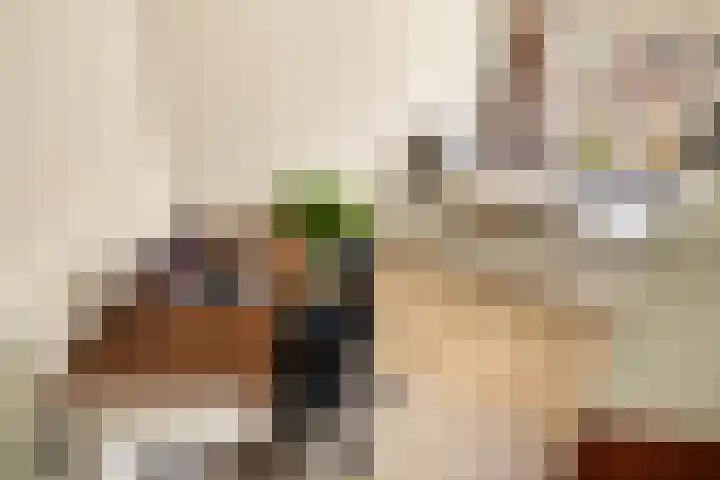 Sumatrastraat 207 N Amsterdam thumbnail 21
